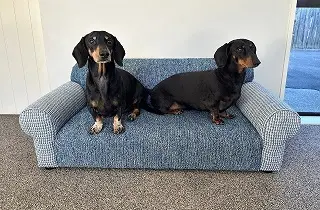 Pet`s Sofa